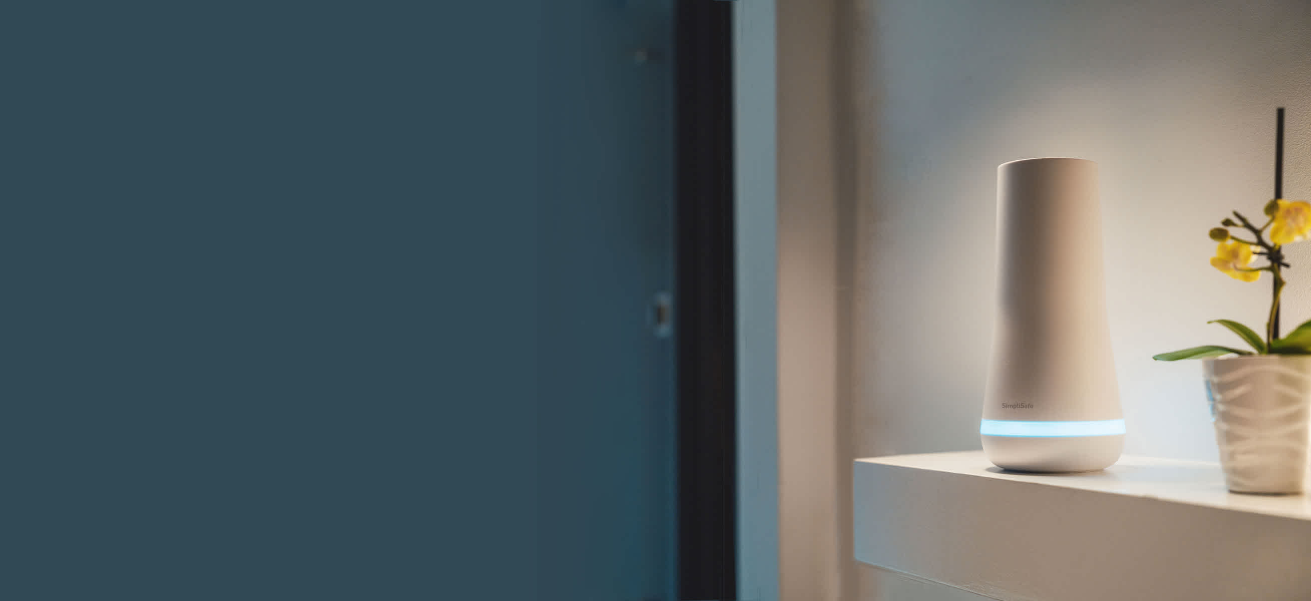 Background image used on the top banner on the PLP pages.